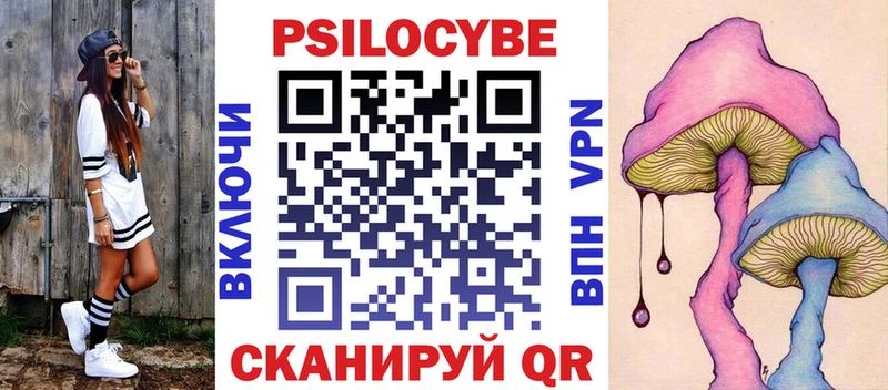 KRAKEN ссылка  Спас-Деменск  Галлюциногенные грибы Psilocybe 
