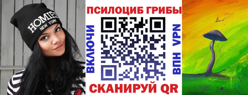 Галлюциногенные грибы Psilocybe Спас-Деменск